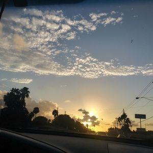 Meet your Posher, Iris